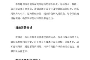  使用专业软件规划篮球训练计划：提升球队表现的最佳策略